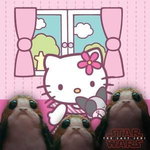 Meet your Posher, Linda